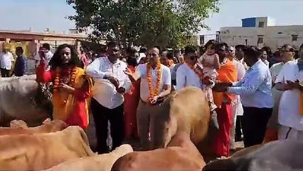 यहां गो सेवा बनी अनूठी मिसाल, जुट रहे गो सेवी