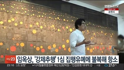 임옥상, '강제추행' 1심 집행유예에 불복해 항소