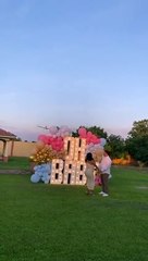 Un pilote d'avion meurt lors d'une gender reveal party