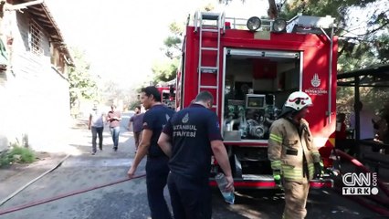 SON DAKİKA: Maltepe'de orman yangını