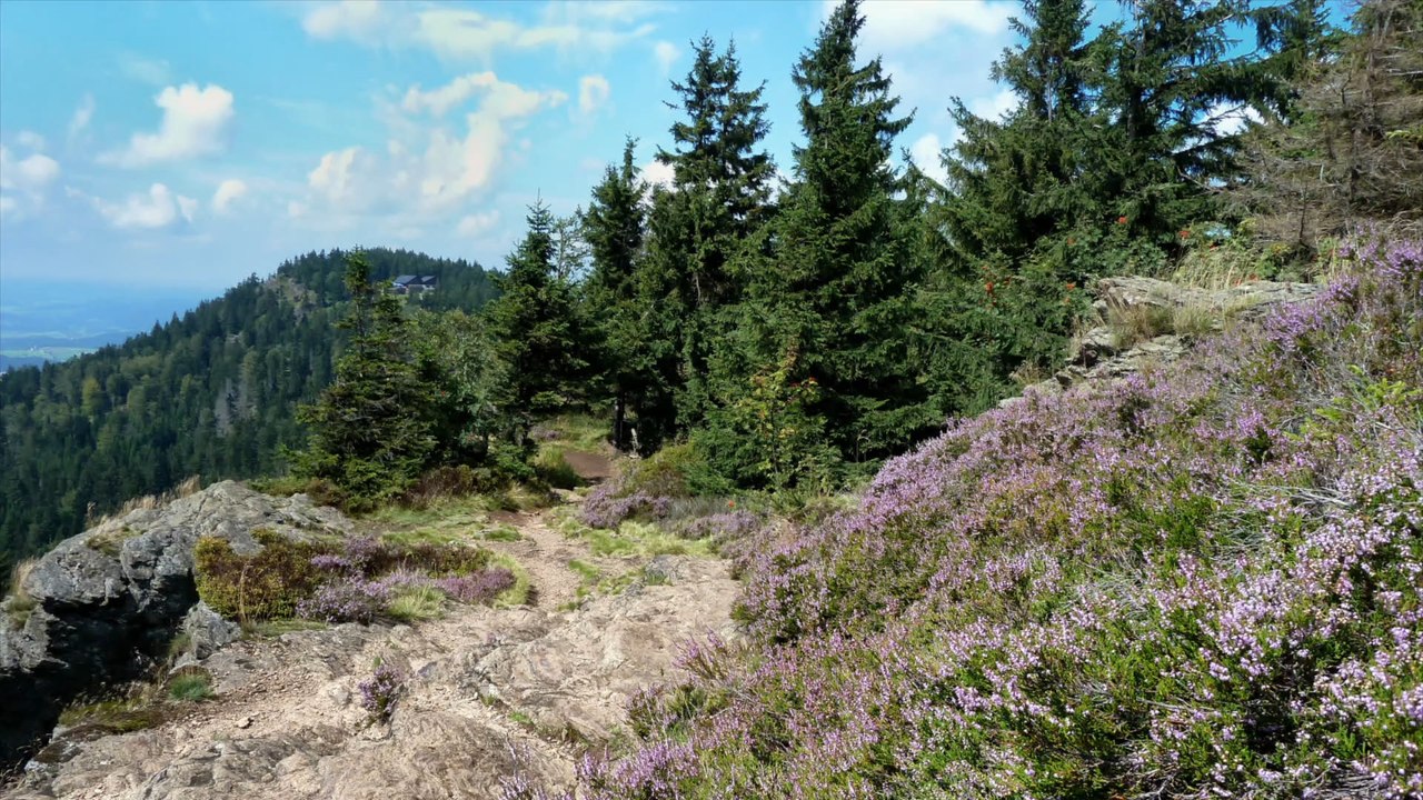 Bayern: 37-Jähriger kommt bei Bergunglück ums Leben