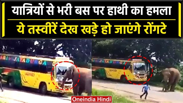 Elephant Attack in Andhra Pradesh: बस पर हाथी ने कर दिया हमला, फिर देखिए क्या हुआ | वनइंडिया हिंदी