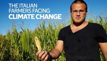 Meet the Italian farmers facing the extremes of climate change | On The Ground