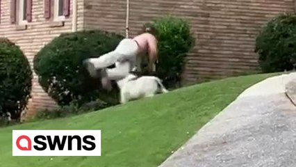 Bizarre moment shirtless man leaps from his golf cart - to try and tackle notorious GOAT