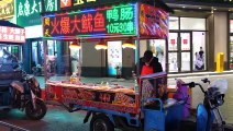 Chinese Street Food -Grilled Cold Noodles with Cheese and Turkey Noodles_ Grilled Calamari