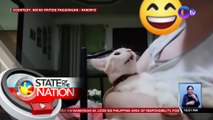 Pusang nakiki-duet sa pagkanta ng Taylor Swift songs, kinagiliwan | SONA