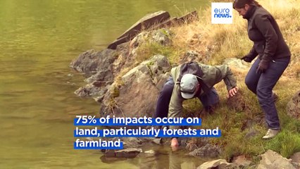 Invasive species costs global economy €391bn per year - UN report