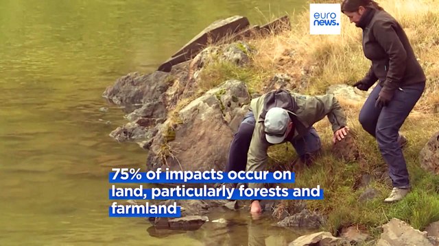 Invasive species costs global economy €391bn per year - UN report