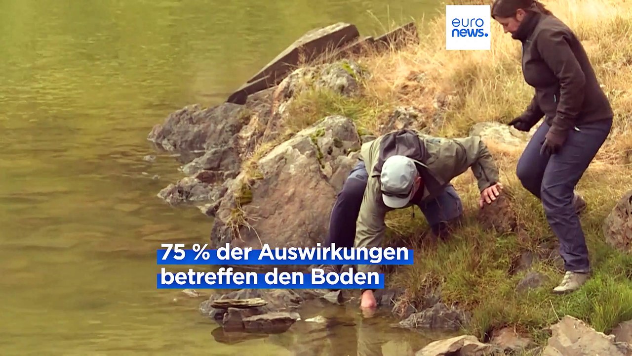 Tierische und pflanzliche Eindringlinge verursachen jährlich Kosten von 390 Milliarden Euro
