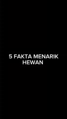 Fakta Menarik Hewan