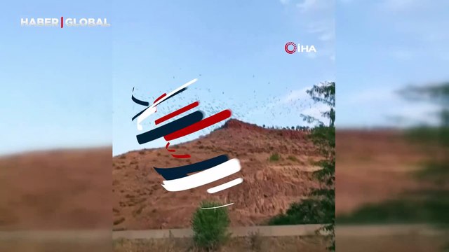 Binlerce göçmen kuş Mehmetçik Anıtı'nda görsel şölen oluşturdu