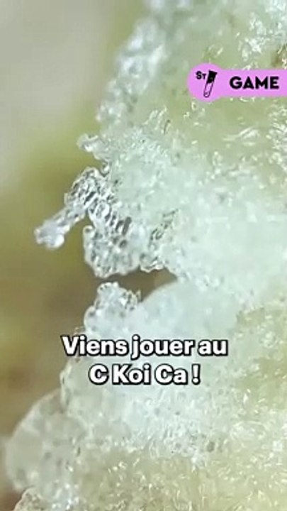 Devine ce qu’on te montre au microscope ! Donne nous ta réponse dans les commentaires, indice : ça se mange et c’est très bon 