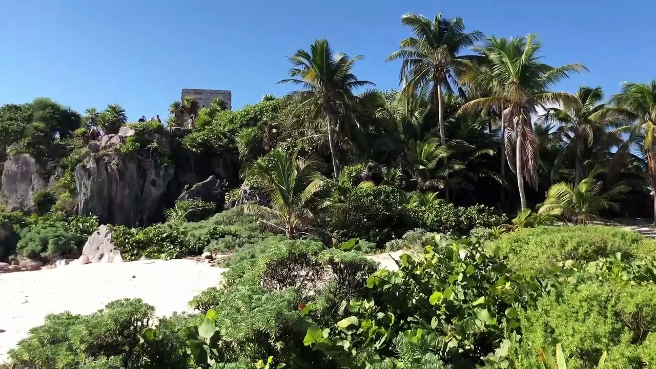 Mexitours24 - Buche Ausflüge rund um Playa del Carmen