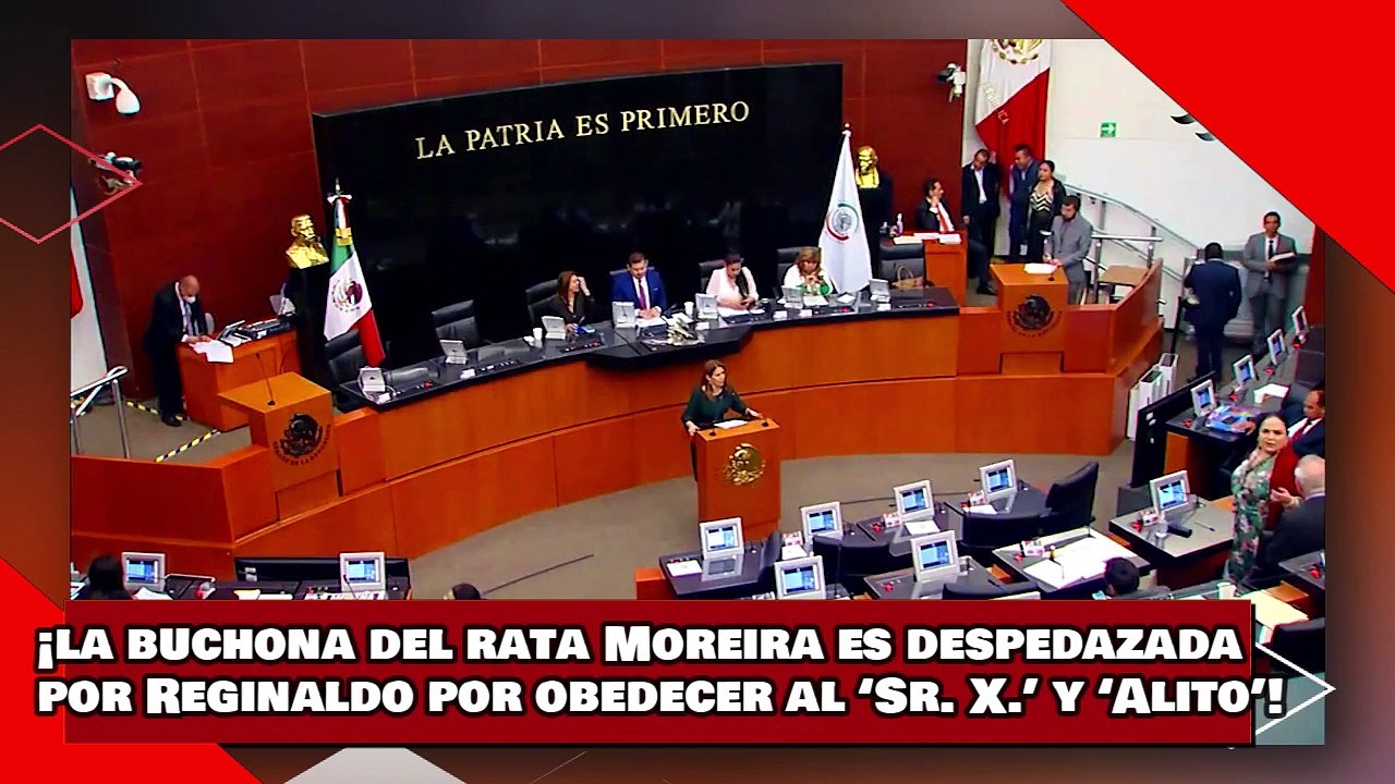 ¡VEAN! ¡la buchona del rata Moreira es despedazada por Reginaldo por obedecer al ‘Sr. X.’ y ‘Alito’!
