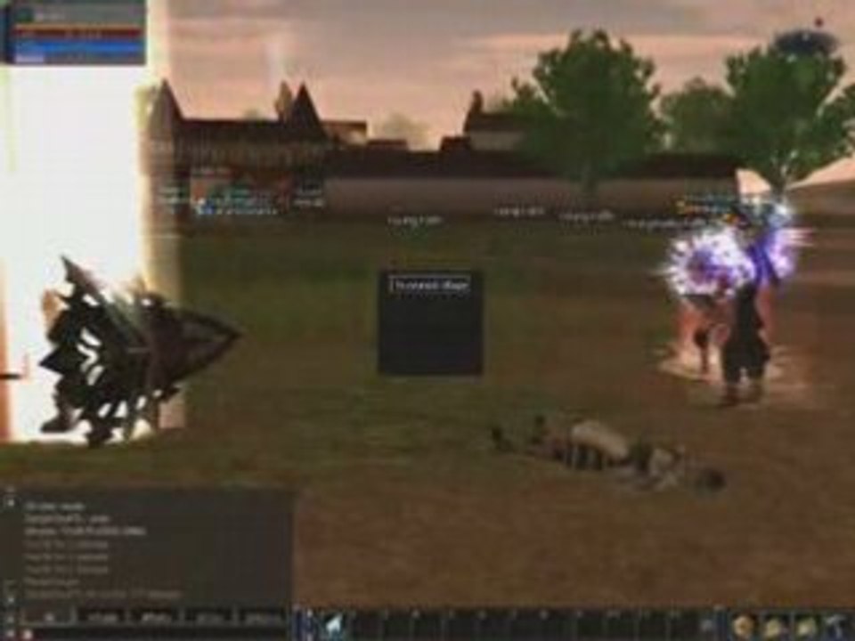 Lineage 2 Spam Heal Video