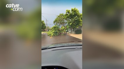 Chuva acompanhada de ventos fortes deixa estragos em Toledo Rajadas de ventos de 73,4km/h foram registradas na cidade