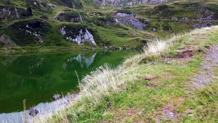 Peixinhos são culpados pela cor esmeralda de lago francês