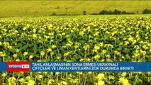 Rusya’yla tahıl anlaşmasının sona ermesi ukraynalı çiftçileri ve liman kentlerini zor durumda bıraktı