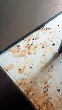 Golden Retriever proudly owns her mess PETASTIC