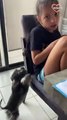 puppy loves nothing more than playing with human   PETASTIC