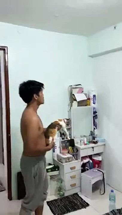 Cat solves her owners' little 'spider problem   PETASTIC