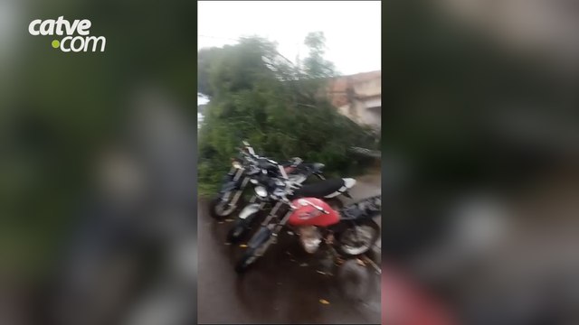 Chuva acompanhada de ventos fortes deixa estragos em Toledo Rajadas de ventos de 73,4km/h foram registradas na cidade