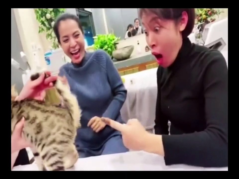 Funny Moment