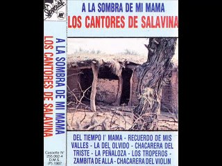 Los Cantores de Salavina - A la sombra de mi mama