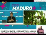 Pdte. Nicolás Maduro destaca elaboración del Plan Venezuela Potencia Agrícola 2030