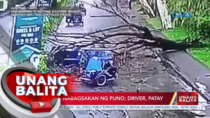 Tricycle, nabagsakan ng puno; Driver, patay | UB