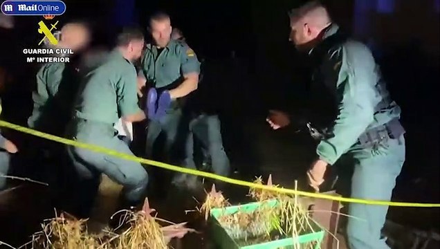 Madrid's metro system is flooded as city is hit by worst rainfall since 1972, weather warnings are placed across Spain as firefighters mount daring rescue of boy stranded in tree overnight