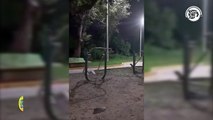 ¿Fantasmas fit? captan 'actividad paranormal' en parque de Cosoleacaque