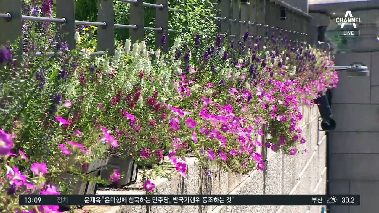 [날씨]서울 32도 늦더위…전국 곳곳 폭염주의보