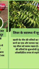 नीम पत्तियों में हैं चमत्कारिक ताकत: दिन में सिर्फ इतनी पत्तियां की खाएं