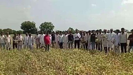 सूखे की मार झेल रहे किसान, बर्बाद फसलों का कराया सर्वे