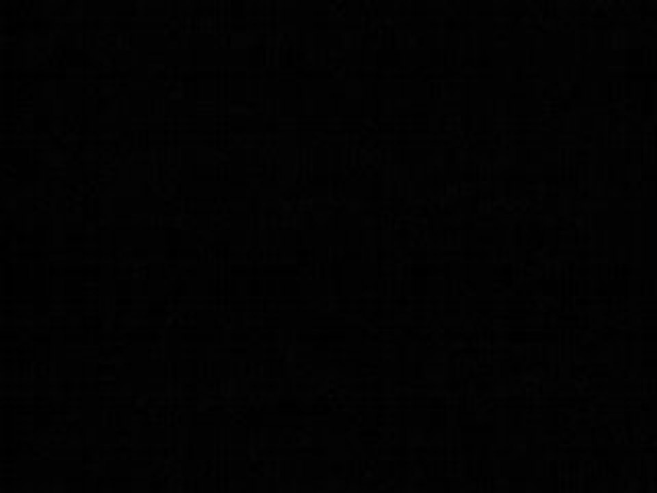 Jesus&Jawal - 4 instruments pour Für Elise