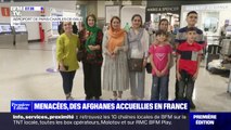 Présentatrice télé, coiffeuse ou présidente d'université: 5 femmes afghanes menacées par le régime des Talibans accueillies en France