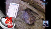 Umano'y fossil ng trilobite o nilalang na nabuhay mahigit 500 million years ang nakakaraan, namataan sa isang bato sa Puerto Princesa City, Palawan | 24 Oras