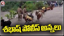 Police  Rescue  Goats , Facing  Problem While Crossing Calvert _ Rajanna Sircilla _ V6 News