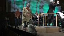 Hunde wirken bei Kammerorchester mit