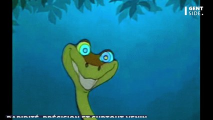 Ces 5 espèces de serpents que vous devriez éviter de croiser à tout prix