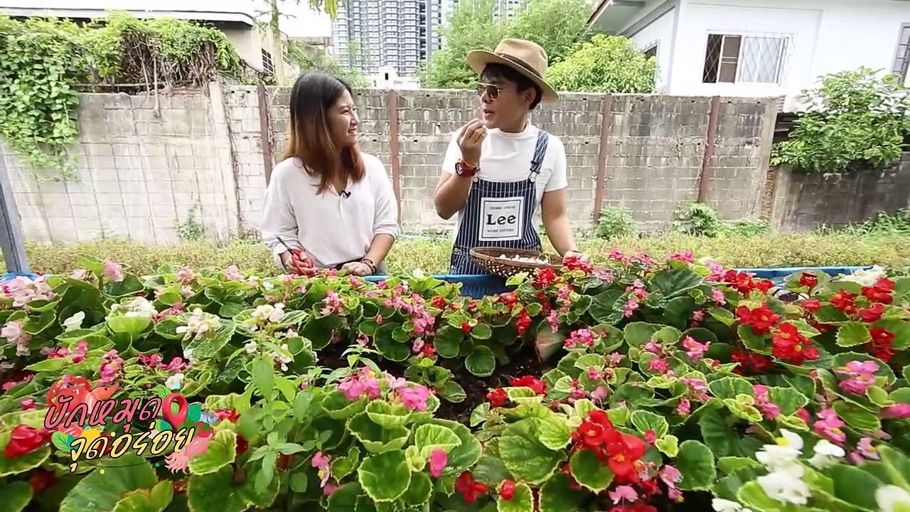 EP. 8  มหัศจรรย์ดอกไม้กินได้