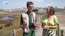 Entrevista Paulo Faria, técnico do Parque Biológico de Gaia, sobre as espécies que habitam no estuário do Douro.