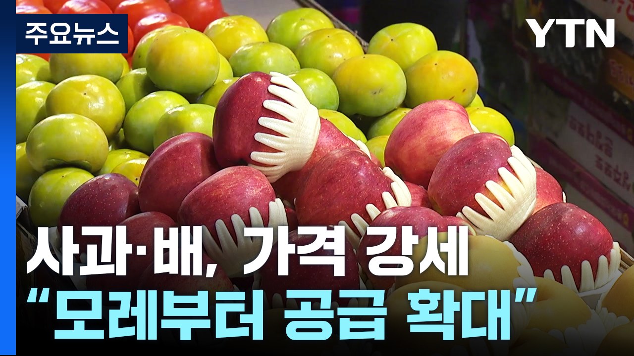 사과·배, 추석 앞두고 가격 강세..."모레부터 공급 확대" / YTN