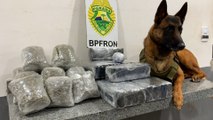 Jovem é detida pelo BPFron com quase R$ 50 mil em drogas na rodoviária de Cascavel