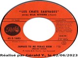 Les Chats Sauvages & Dick Rivers_Jamais tu ne feras rien (1962)karaoké