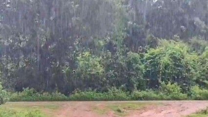 అల్లూరి: జిల్లాలో కుమ్మేస్తున్న భారీ వర్షాలు.. వారు తస్మాత్ జాగ్రత్త