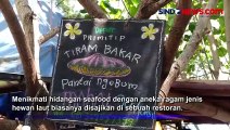 Nikmatnya Kuliner Tiram Bakar, Olahan Tradisional Khas Pantai Ngebum, Kendal, Jateng