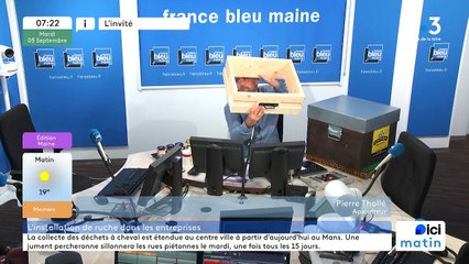 Des ruches locales dans votre entreprise