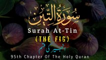 Surah At-Tin Recitation Full HD With Urdu English Translation | The Fig | Holy Quran Urdu English Translation | Qtuber Urdu
